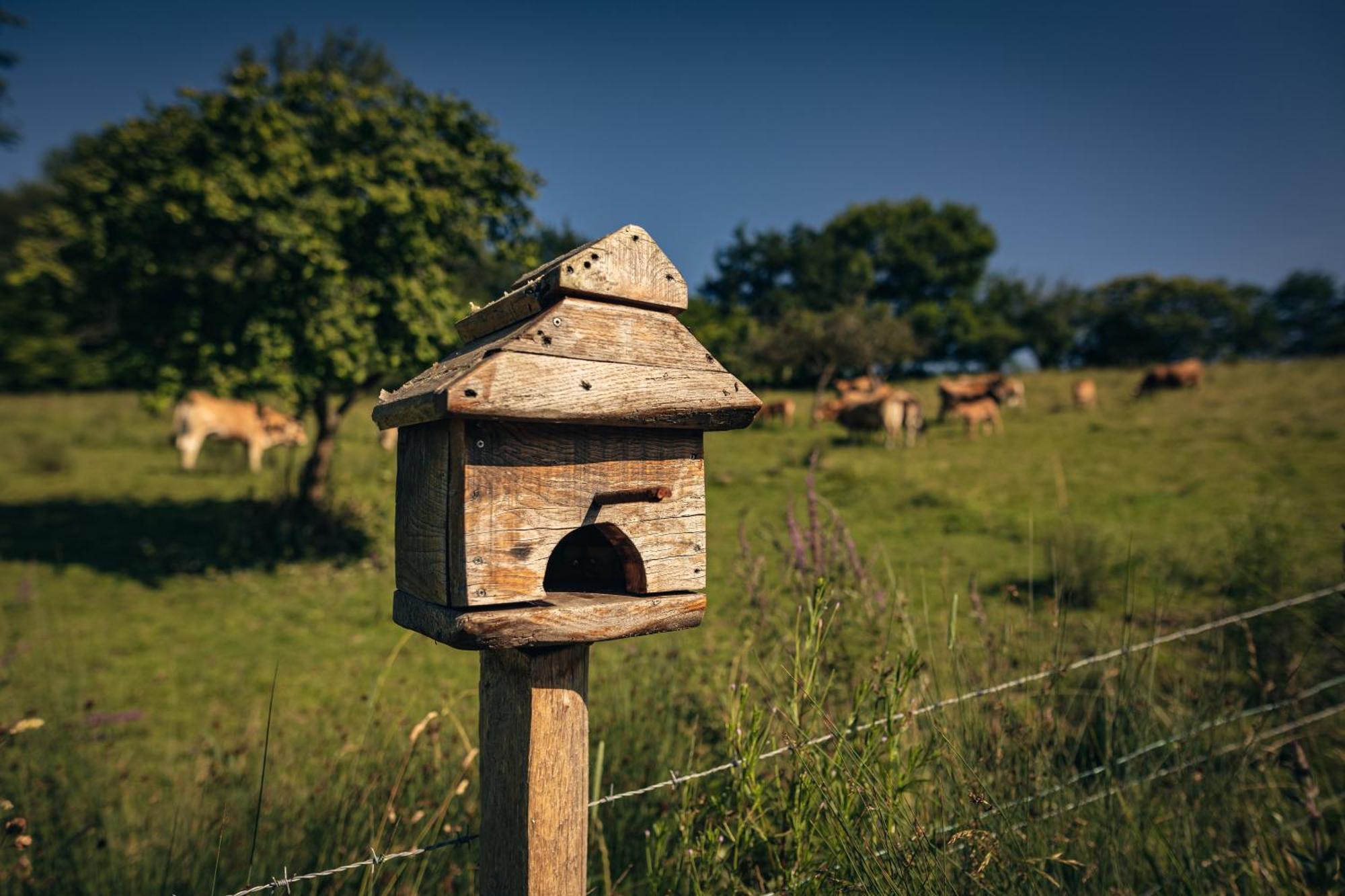 Finca La Naguada Casa Rural En Asturias Beloncio Kültér fotó