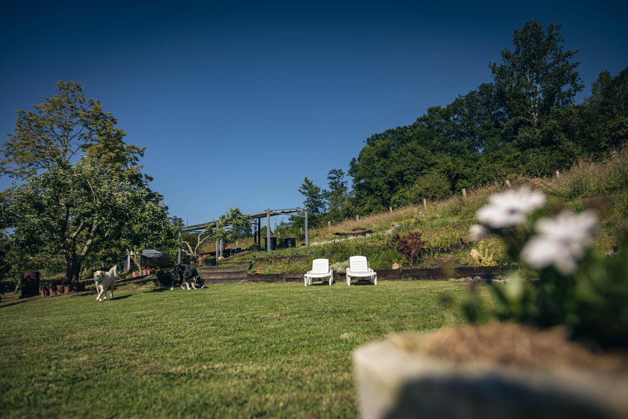 Finca La Naguada Casa Rural En Asturias Beloncio Kültér fotó