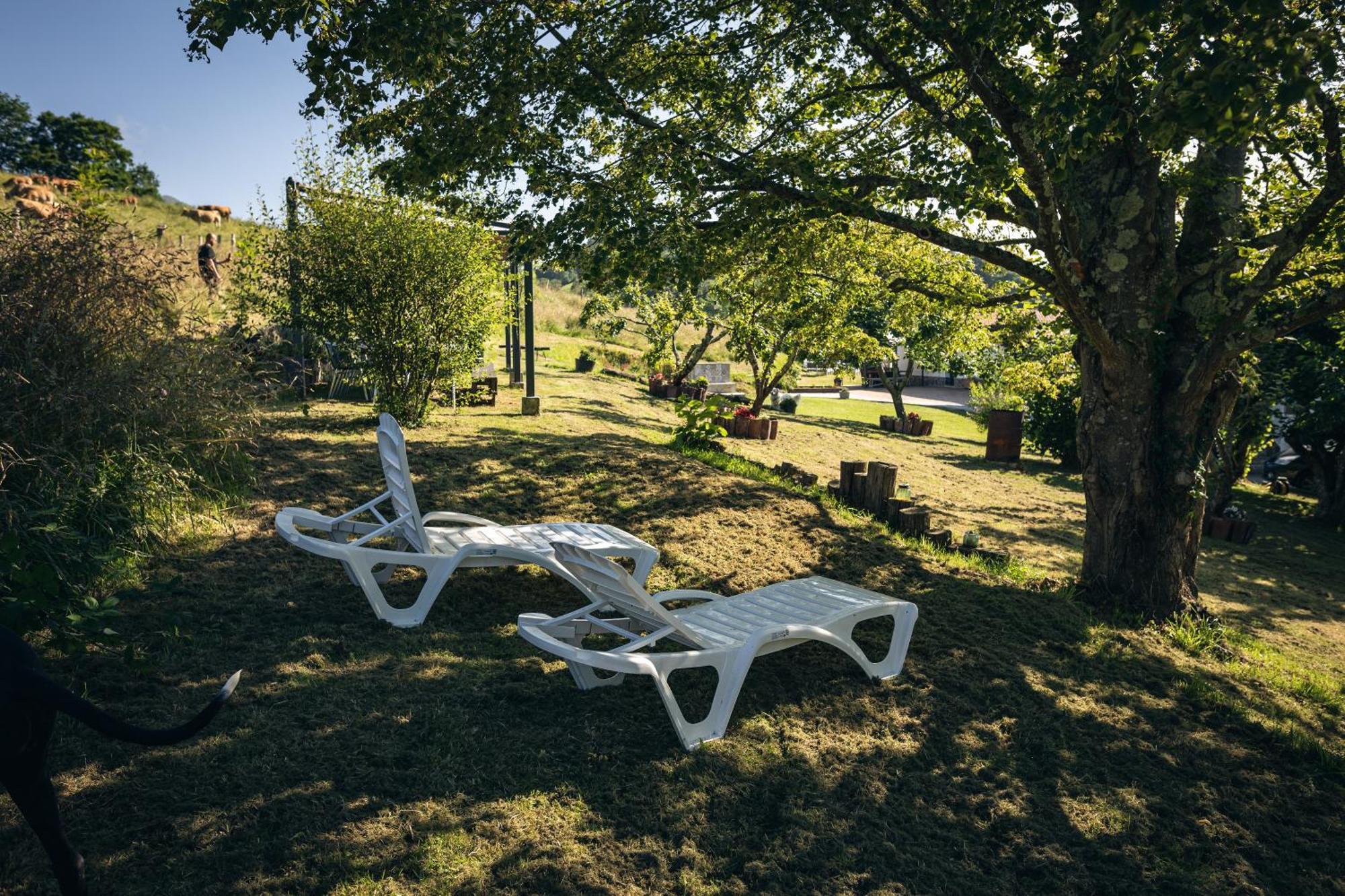 Finca La Naguada Casa Rural En Asturias Beloncio Kültér fotó