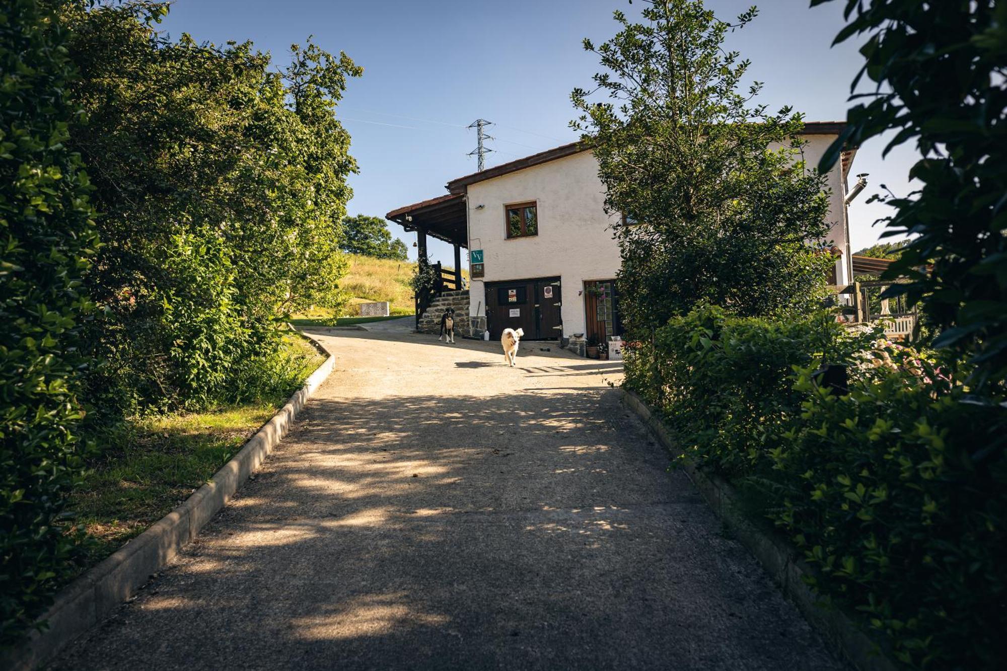 Finca La Naguada Casa Rural En Asturias Beloncio Kültér fotó